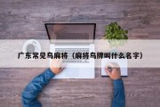 广东常见鸟麻将（麻将鸟牌叫什么名字）