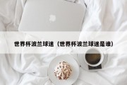 世界杯波兰球迷（世界杯波兰球迷是谁）