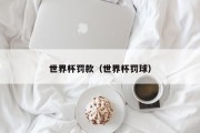 世界杯罚款（世界杯罚球）