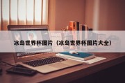 冰岛世界杯图片（冰岛世界杯图片大全）